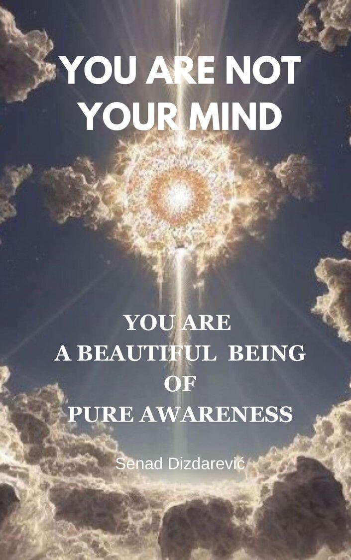 A book: »You are not your mind: You are a Beautiful Being of Pure Awareness«