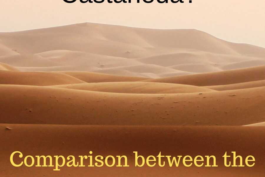 “Where are Don Juan and Carlos Castaneda?” Free e-Book.