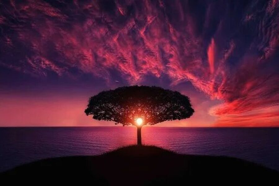 Where and how can you find Pure Awareness?