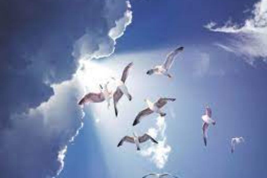 Solar Report NR 4: Every day, 180,000 people fly away to paradise (1/2)