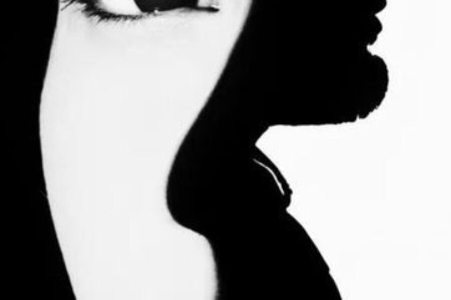 Who or what is the Shadow and how can you get rid of it? (6/3)