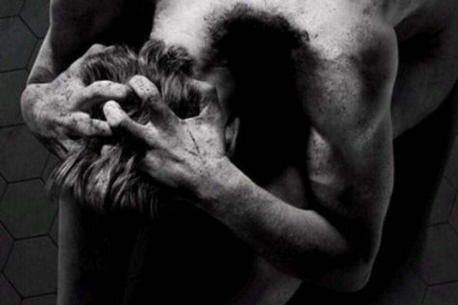NDW: Traumas are healthy (4/7)