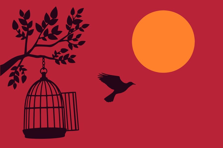 Planetary Blockade: The Struggle Between Eternal Life and Permanent Death (3/2)