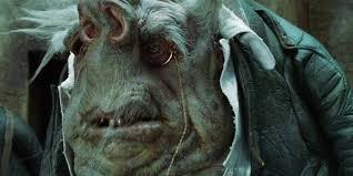 Vogon, a human with pig head, a karmic screenwriter. 